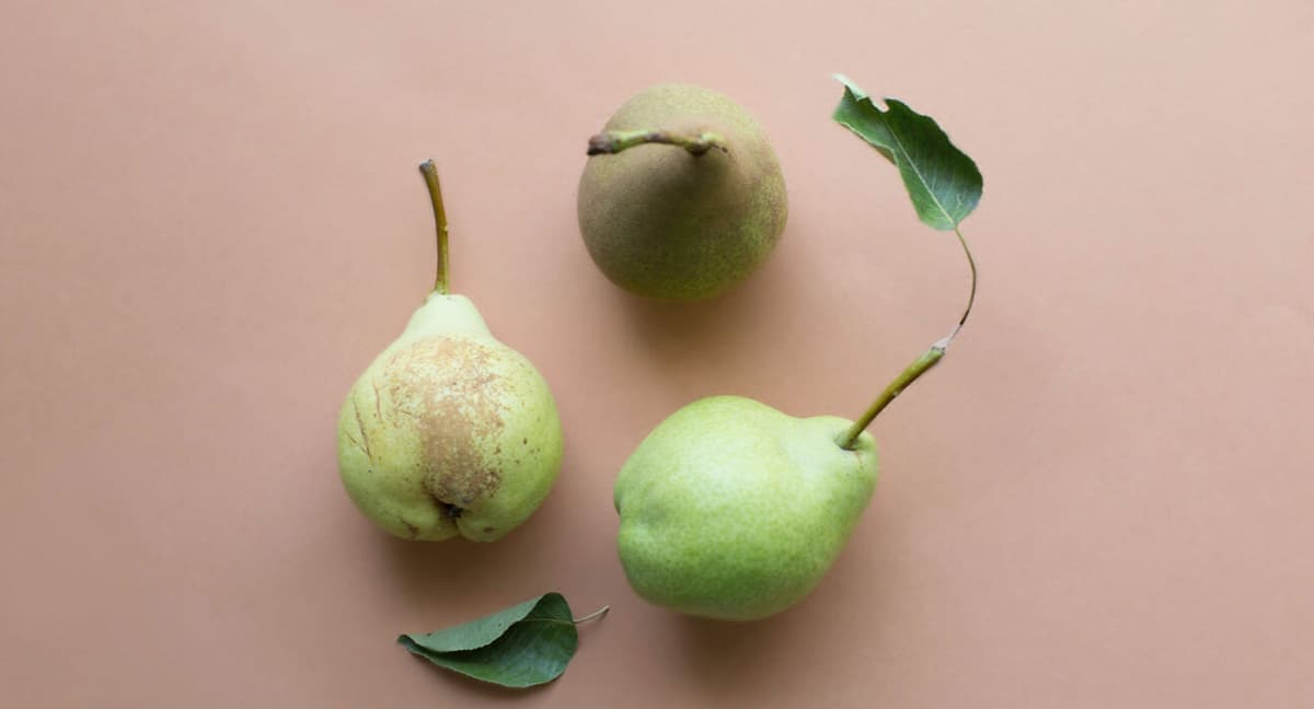 Smarter Food Choices 101 Tips For The Busy Women